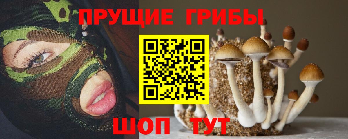 Псилоцибиновые грибы мицелий Калининград