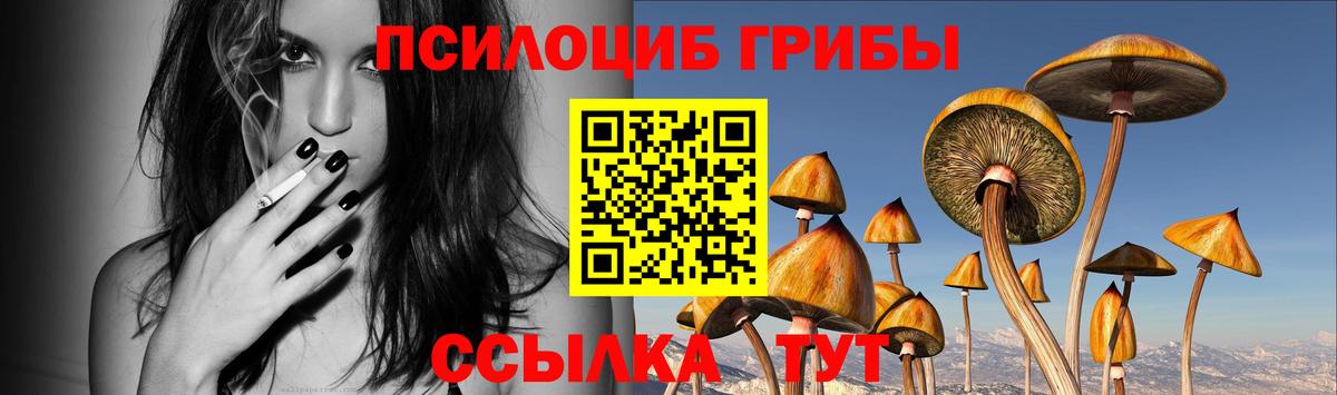 Калининград  Псилоцибиновые грибы мухоморы  сколько стоит  Вход с VPN 